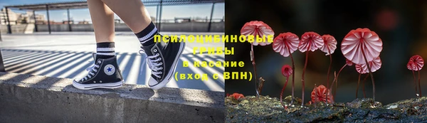 крисы Киреевск