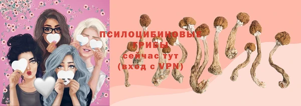 крисы Киреевск
