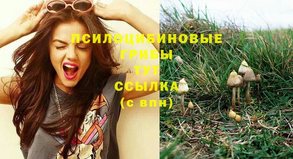 крисы Киреевск