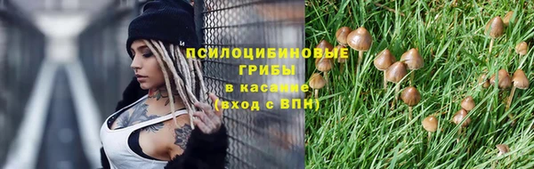 крисы Киреевск